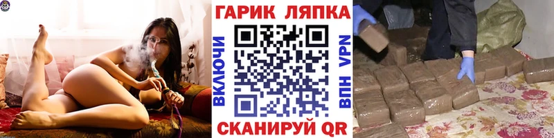 как найти закладки  Волосово  ГАШ индика сатива 