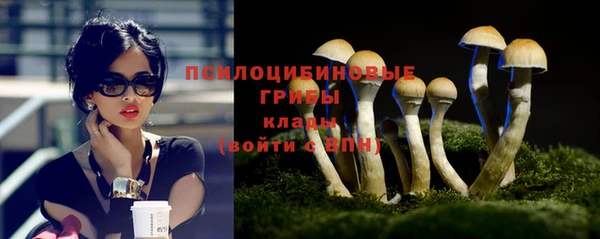 ГАЛЛЮЦИНОГЕННЫЕ ГРИБЫ Богородск