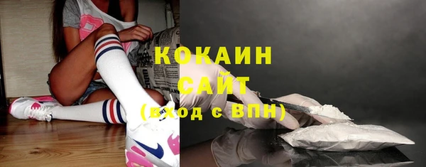 дурь Бородино
