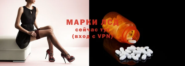 дурь Бородино