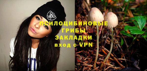 ГАЛЛЮЦИНОГЕННЫЕ ГРИБЫ Богородск