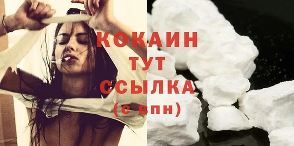 дурь Бородино