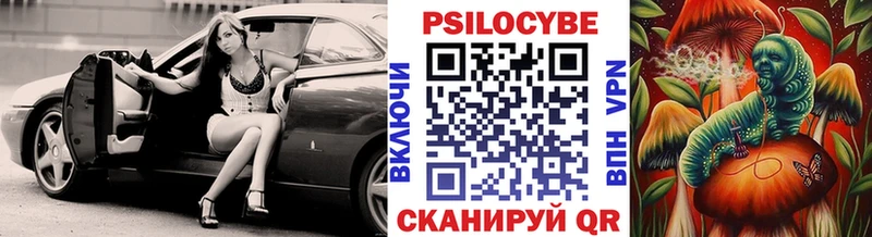 где найти наркотики  Волосово  Псилоцибиновые грибы MAGIC MUSHROOMS 